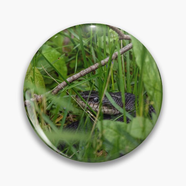 Item preview, Rat Snake Lurking in the Grass designed and sold by HectorCantres.