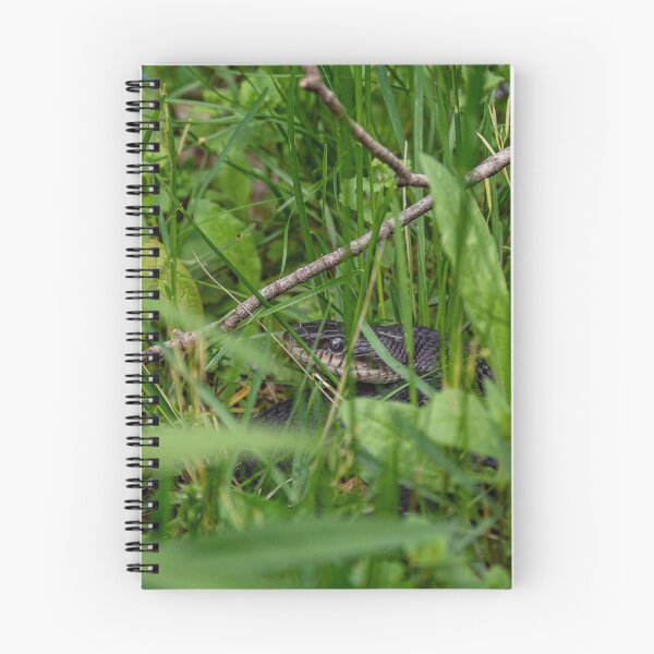 Item preview, Rat Snake Lurking in the Grass designed and sold by HectorCantres.