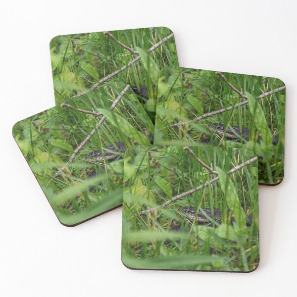 Item preview, Rat Snake Lurking in the Grass designed and sold by HectorCantres.