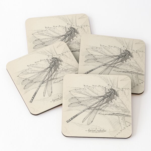 Item preview, Vintage Damselfly Agrion rubellum: Scientific Drawing designed and sold by VistaPainterArt.