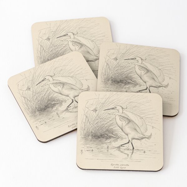 Item preview, Little Egret: Egretta garzetta - Vintage Ornithology Plate designed and sold by VistaPainterArt.