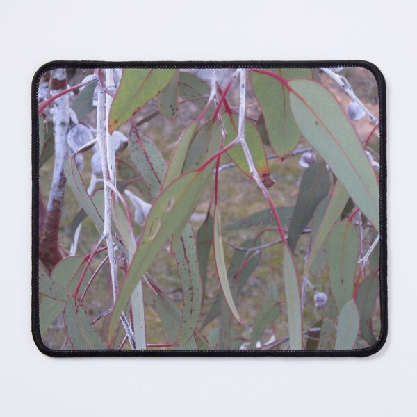 Item preview, gumleaves designed and sold by selby_inklings.