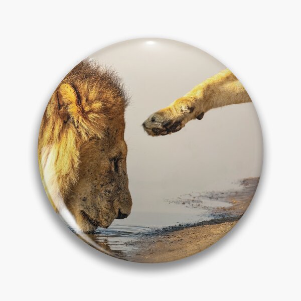 Item preview, Lion Affection designed and sold by Kay Brewer.