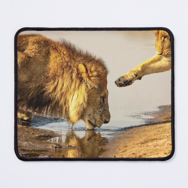 Item preview, Lion Affection designed and sold by Kay Brewer.