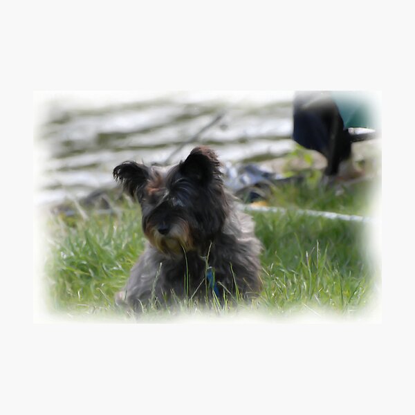 Butch 2 Photographic Print