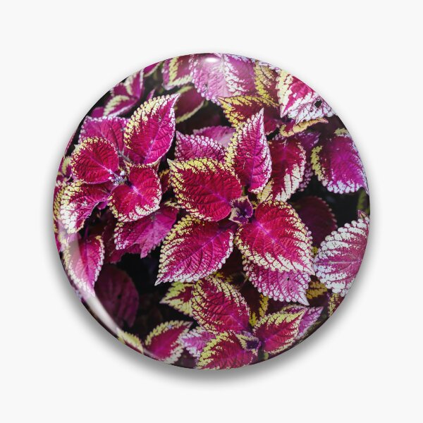 Item preview, Coleus Leaves designed and sold by Douglas E. Welch Design and Photography.