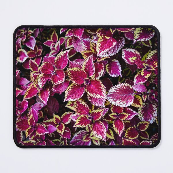 Item preview, Coleus Leaves designed and sold by Douglas E. Welch Design and Photography.