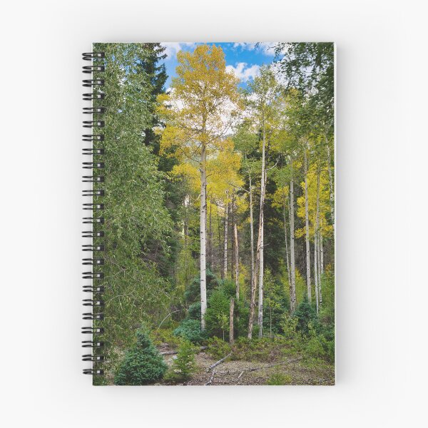 Item preview, Aspens Showing Color designed and sold by Cathy Jones.