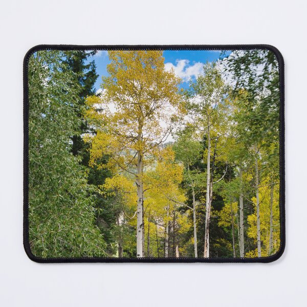 Item preview, Aspens Showing Color designed and sold by Cathy Jones.