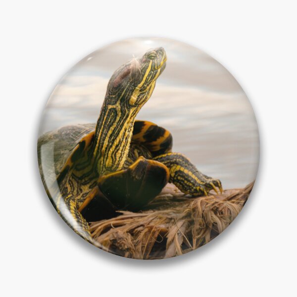 Item preview, Happy Turtle on a Log designed and sold by Debra Martz.