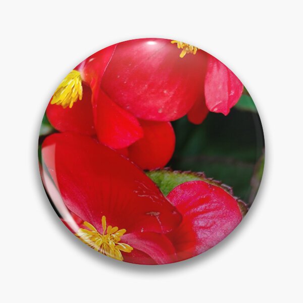 Item preview, Begonia semperflorens. designed and sold by Opps-diseño.