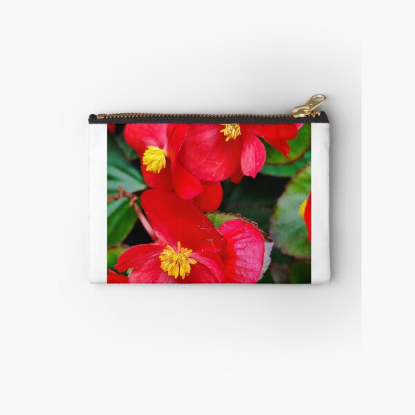 Item preview, Begonia semperflorens. designed and sold by Opps-diseño.