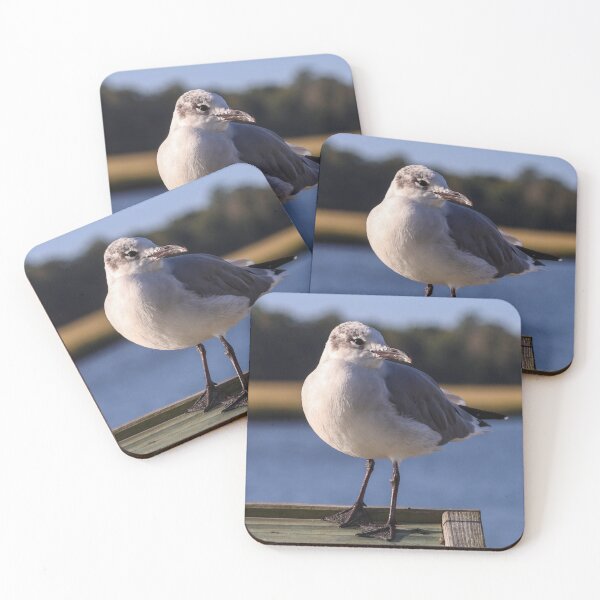 Item preview, South Carolina Seagull Perched  designed and sold by MBGSL DESIGNS .