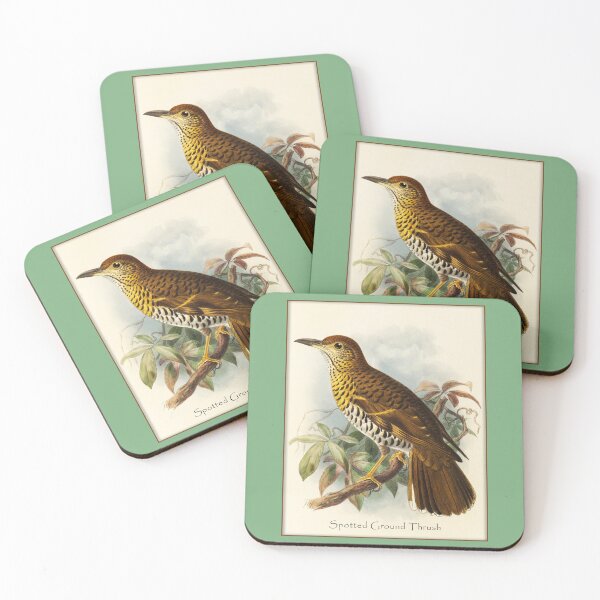 Item preview, Bird Print: Spotted Ground Thrasher designed and sold by Tridentulus.