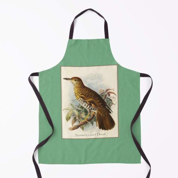 Item preview, Bird Print: Spotted Ground Thrasher designed and sold by Tridentulus.