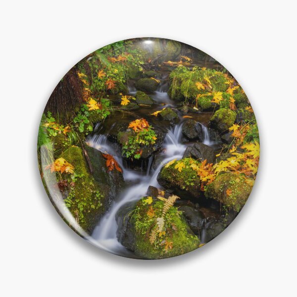 Item preview, Fern Gully Autumn designed and sold by DawsonImages.