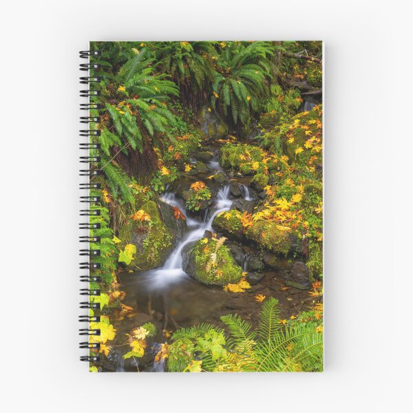 Item preview, Fern Gully Autumn designed and sold by DawsonImages.