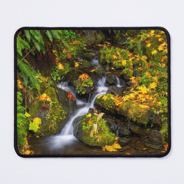 Item preview, Fern Gully Autumn designed and sold by DawsonImages.