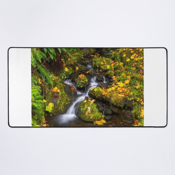 Item preview, Fern Gully Autumn designed and sold by DawsonImages.