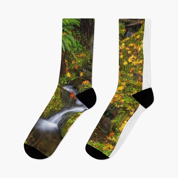Item preview, Fern Gully Autumn designed and sold by DawsonImages.