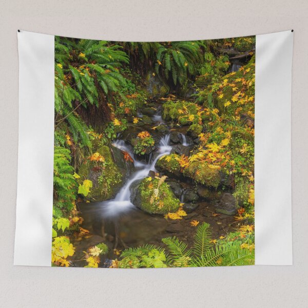 Item preview, Fern Gully Autumn designed and sold by DawsonImages.
