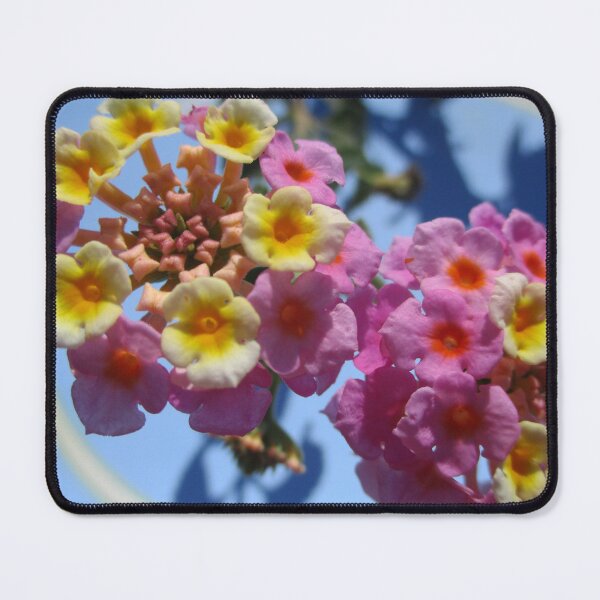 Item preview, Lantana designed and sold by birgitsfotoshop.