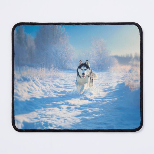 Item preview, A Siberian Husky dashing through fresh snow, Dogs in Motion designed and sold by CDC40.