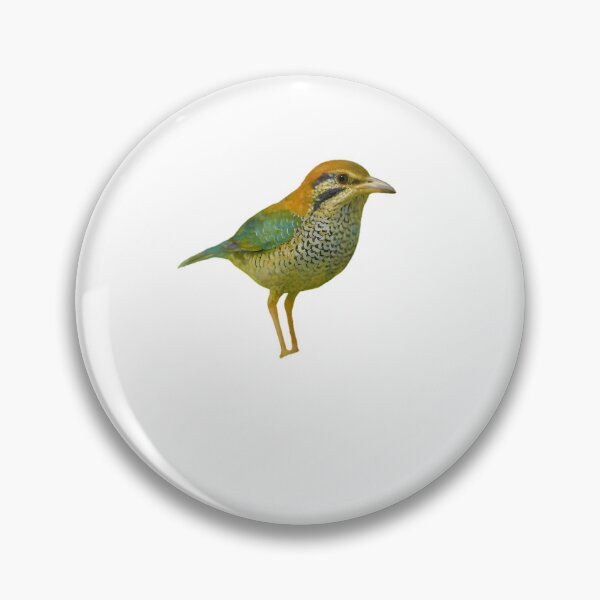 Item preview, Scaly Ground Roller (Geobiastes squamiger) designed and sold by HOMETOWN86.