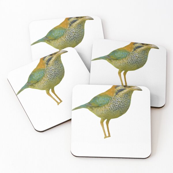 Item preview, Scaly Ground Roller (Geobiastes squamiger) designed and sold by HOMETOWN86.