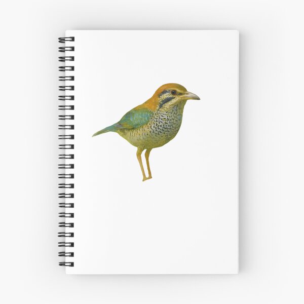 Item preview, Scaly Ground Roller (Geobiastes squamiger) designed and sold by HOMETOWN86.