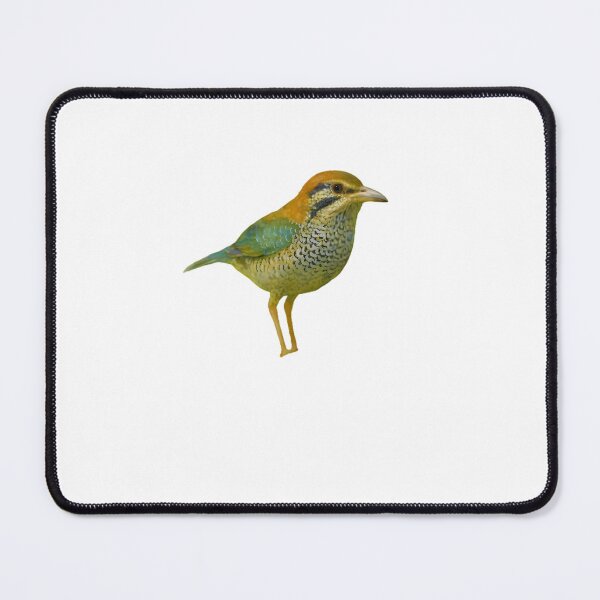Item preview, Scaly Ground Roller (Geobiastes squamiger) designed and sold by HOMETOWN86.