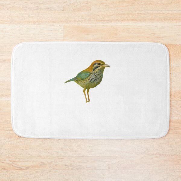 Item preview, Scaly Ground Roller (Geobiastes squamiger) designed and sold by HOMETOWN86.