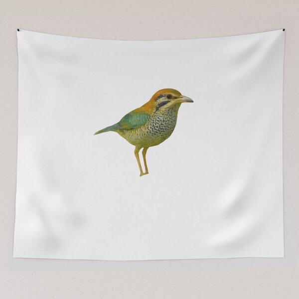 Item preview, Scaly Ground Roller (Geobiastes squamiger) designed and sold by HOMETOWN86.