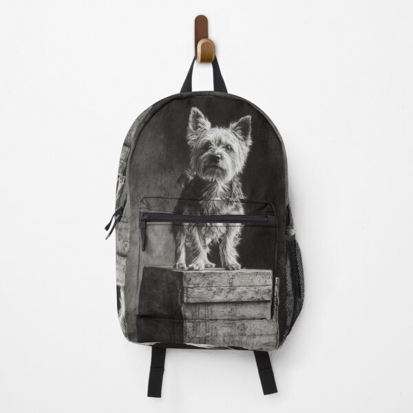 Item preview, A proud Yorkshire Terrier standing atop an old wooden crate, Dogs in Motion designed and sold by CDC40.
