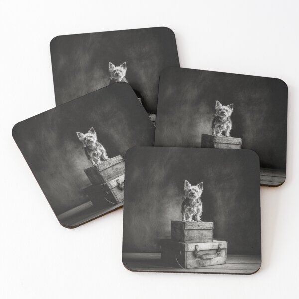 Item preview, A proud Yorkshire Terrier standing atop an old wooden crate, Dogs in Motion designed and sold by CDC40.