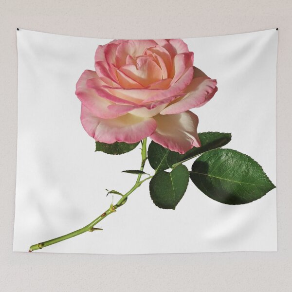 Item preview, Pink Rose designed and sold by LoLife.