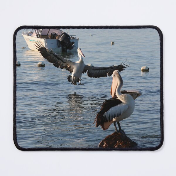 Item preview, Dropping in for a Morning Chat designed and sold by Michaela Perryman.