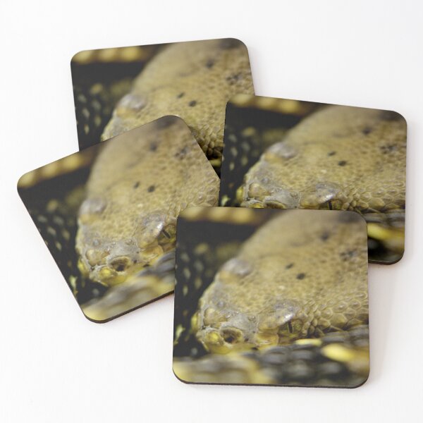 Item preview, Snake Yellow Mountain Rattlesnake  designed and sold by ParisPoet.