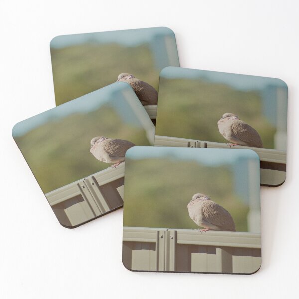Item preview, Doves at Rest designed and sold by 35mmofry.