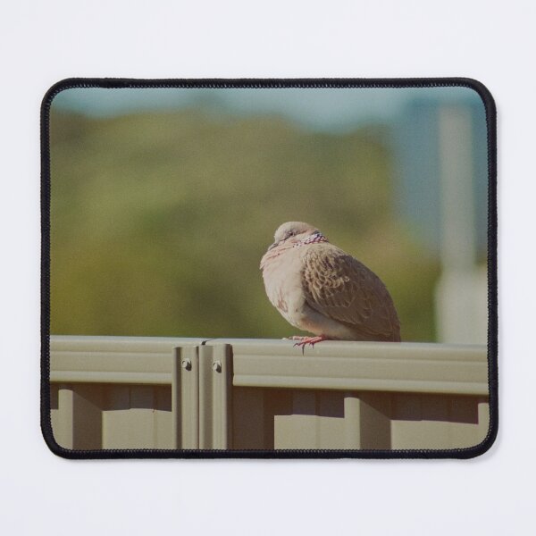 Item preview, Doves at Rest designed and sold by 35mmofry.