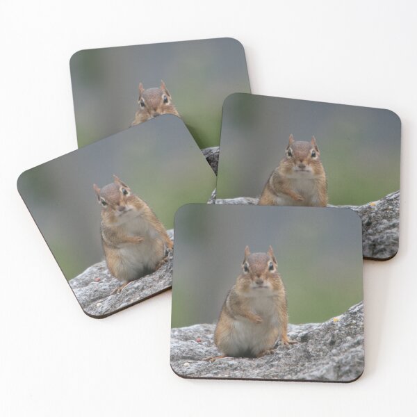 Item preview, Chipmunk designed and sold by ParisPoet.