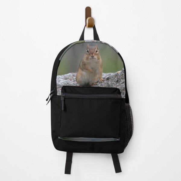 Item preview, Chipmunk designed and sold by ParisPoet.