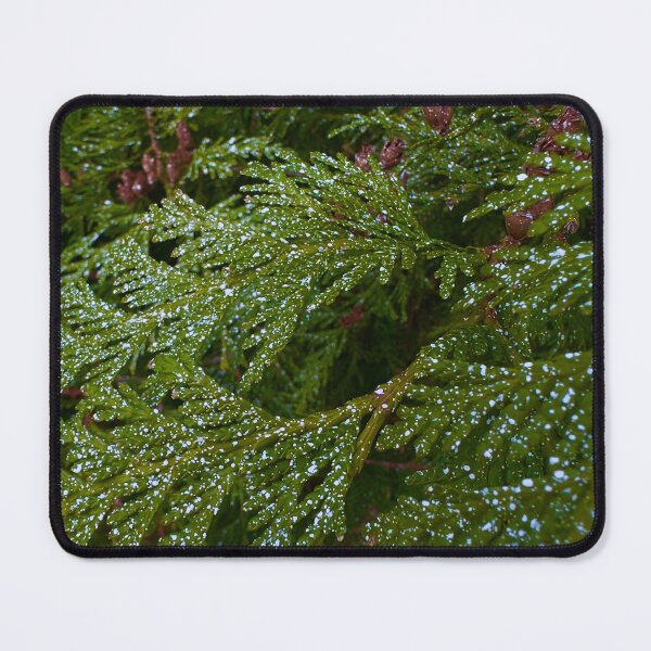 Item preview, Christmas Foliage designed and sold by ZarTeeMan.