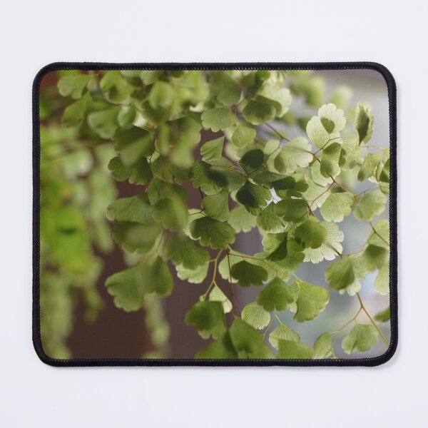 Item preview, Maidenhair designed and sold by amymariko.