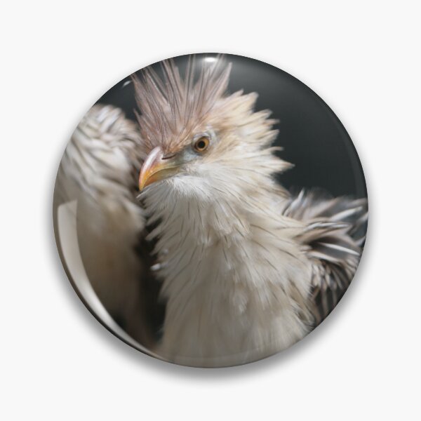 Item preview, Cuckoo Birds Newly Birn designed and sold by ParisPoet.
