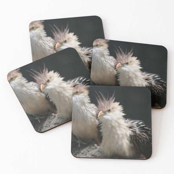 Item preview, Cuckoo Birds Newly Birn designed and sold by ParisPoet.