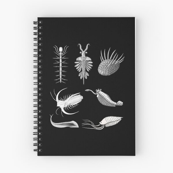 Item preview, Cambrian Creatures Fossil Paleoart Evolution Science Lover designed and sold by PatriciaKelsey.