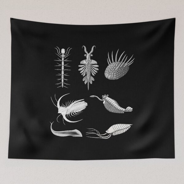 Item preview, Cambrian Creatures Fossil Paleoart Evolution Science Lover designed and sold by PatriciaKelsey.