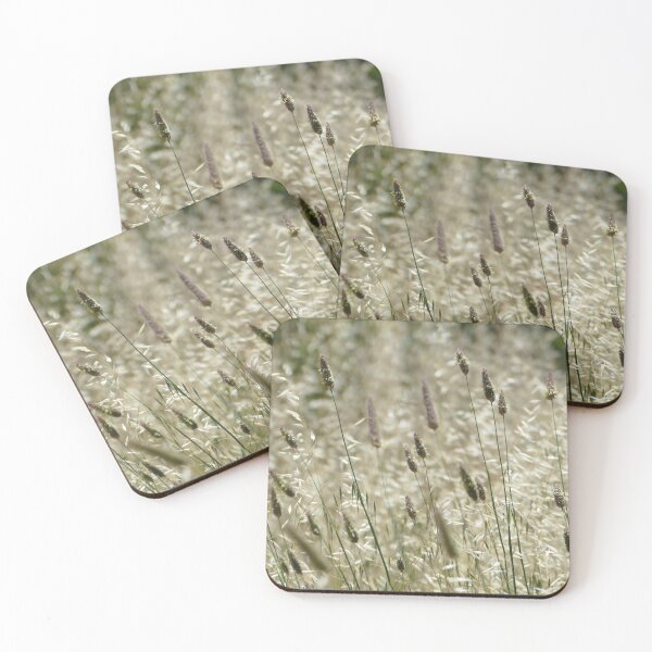 Item preview, grass heads in the late afternoon sun designed and sold by jaynerushton.