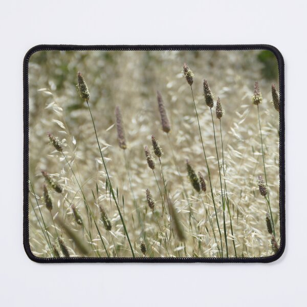Item preview, grass heads in the late afternoon sun designed and sold by jaynerushton.